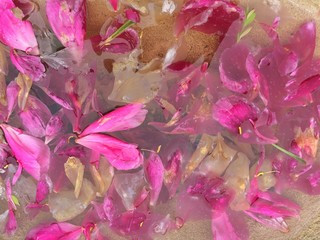 abstract background with pink flowers