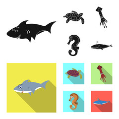 Vector illustration of sea and animal sign. Collection of sea and marine stock vector illustration.