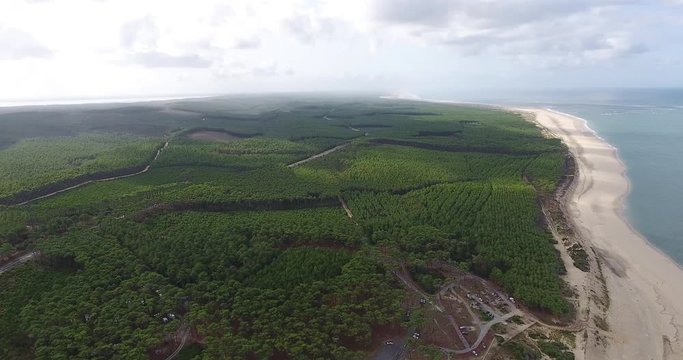 Forest next to Dune du Pilat sand dune
