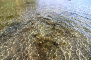 Lake Pebbles