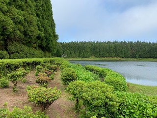 Fototapeta na wymiar Mountain landscape with lakes on São Miguel island, Azores, Portugal 