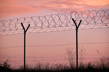 Section of a chainlink fence with razor wire and grass in front of a sunset