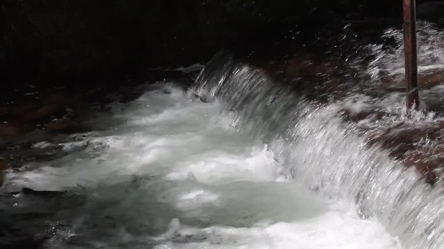 Closeup of Sockeye (Red) Salmon jumping up the waterfall of the fish weir at Bear Creek in Alaska; fish weir helps to manage salmon population in Cook Inlet region