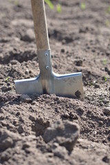 Садовая титановая лопата с длинной деревянной ручкой в плодородной почве крупным планом