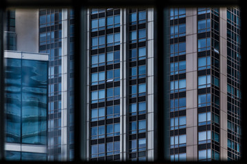 windows in buildings in the city