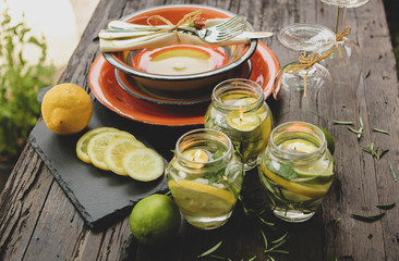 Natural homemade repellents, lime, lemon and rosemary