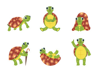 Fototapeta premium Happy cartoon turtle set - cute green sea animal with brown shell