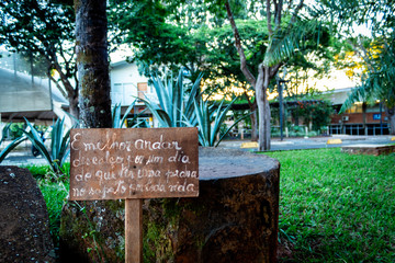 Placa