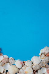 Summer Time Concept With Sea Shells And Starfish On A Blue Background