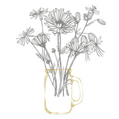 Tansy and Chamomile. Bouquet of hand drawn flowers and herbs. Botanical plant illustration. Handwritten abstract text wallpaper.