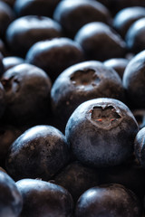 Obraz premium Makroaufnahme von Heidelbeeren im Gegenlicht