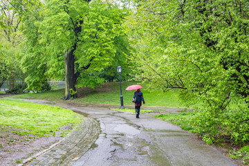 Fototapeta premium Central Park, New York city. Woman walking on a path holding an umbrella, rainy spring day