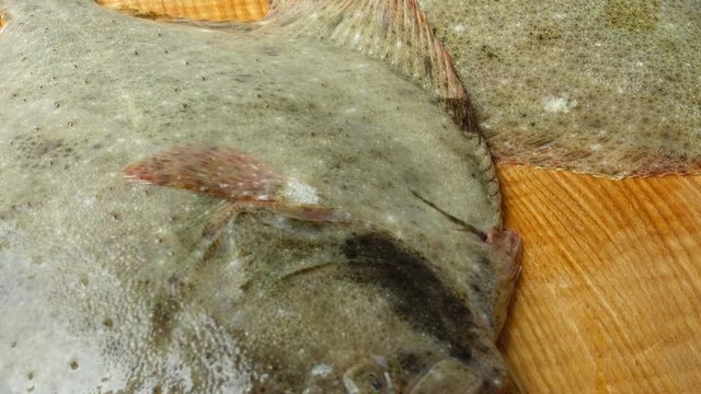 Fish of flatfish on a cutting board. Shooting in the movement.