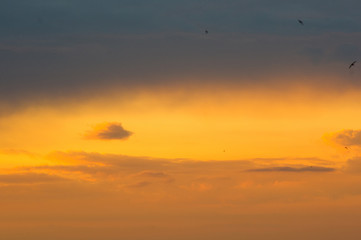 Landscape with dramatic light - beautiful golden sunset with saturated sky and clouds.