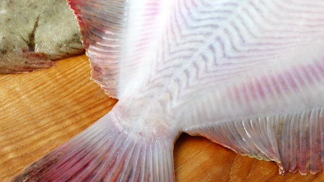 Fish of flatfish on a cutting board. Shooting in the movement.