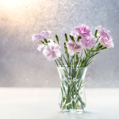 Image with carnations.