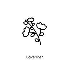 lavender icon vector symbol sign