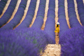 Lavender fields in provence girl woman