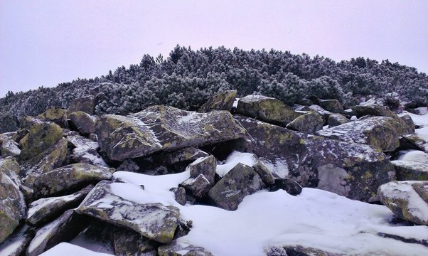 Large stones kurumnik in the Ukrainian Carpathians in winter