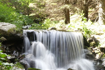 Fototapeta premium Wasserfall