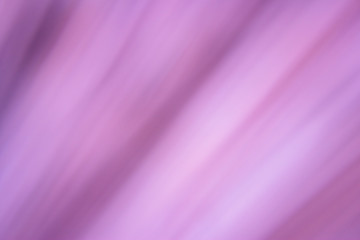 Purple blur background, purple background