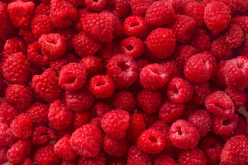 Fresh ripe raspberries background closeup photo