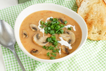 Fresh homemade mushroom soup puree with green onions and vegetable in a bowl  top view
