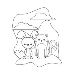 cute rabbit with cat animals in landscape