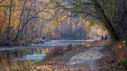 Fototapeta premium Potomac Tow Path C&O Canal
