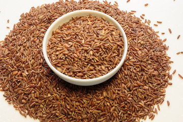 Brown rice grains isolated on white background.