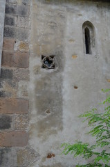 Małe okienka sredniowiecznego kościoła św. marcina, Jawor, Polska - obrazy, fototapety, plakaty