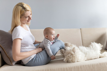 Young mother and child in her hands happy with white westie west highland white terrier dog on a white sofa with grey wallss miling and playng