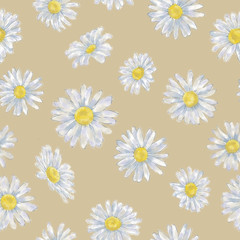 Daisy Flower Seamless Pattern on Soybean. Background. Floral Illustration for Print, Background, Wrapping Paper and Textile.
