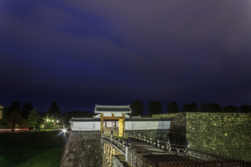 Fototapeta premium 春の山形城跡の本丸跡の風景
