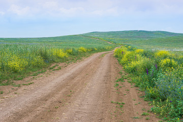 Crimea nature reserve - the road to travel
