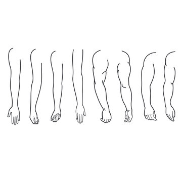 Illustration of male and female hands drawn by contour line. Multiple images set of female and man hand gestures isolated over white background. Hand gesture collection illustration, line art, vector.