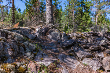 Ladoga lake- visit the national Park