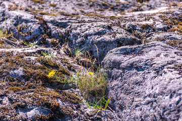 Ladoga lake- visit the national Park