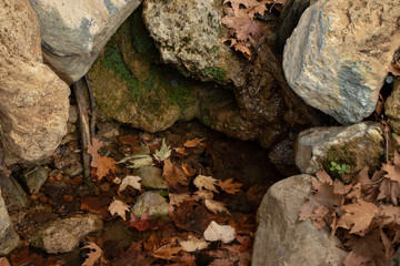 stones in water