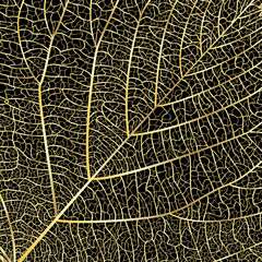 Background texture leaf. Vector illustration. EPS 10