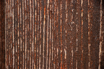 Vintage worn wood gate texture