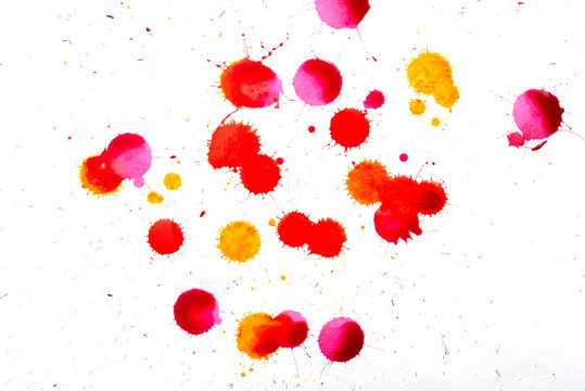 Multicolour paint splash on white canvas. Splatter isolated from different color paint and ink