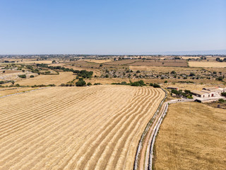Fototapeta na wymiar Aerial view of some fields of wheat during a beautiful sunny day in June in Sicily (Italy)