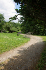 The Long and Windy Path Windy, dirt path heading into the forest. Magical fairy tale path to grandma's house.