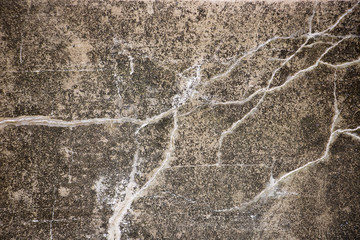 Grungy Cracked Wall Texture. Old and grunge texture. Decrepit, moldy, battered, haggard, run-down weathered wall. Unique and beautiful to some.