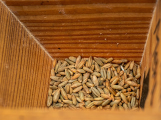 Getreide Körner in der Getreidemühle Close Up Detail 