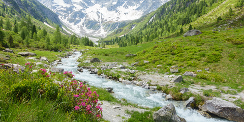 Panorama einer Berglandschaft mit Gletscher und Gebirgsbach