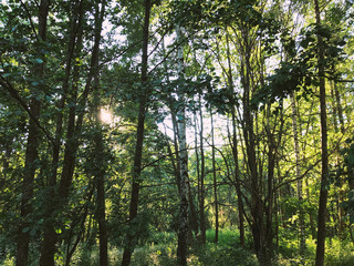 Helsinki, Finland. June 21 2019 - Beautiful summer scenery of midsummer day(Juhannus) Eve in Finland