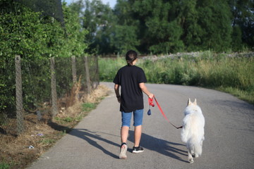 Spacer z psem