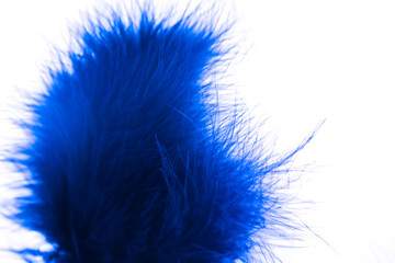 Beautiful abstract texture color blue feathers on white isolated background and pattern wallpaper